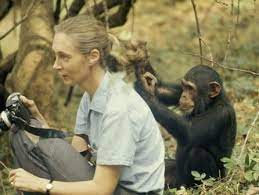 Bio von Jane Goodall